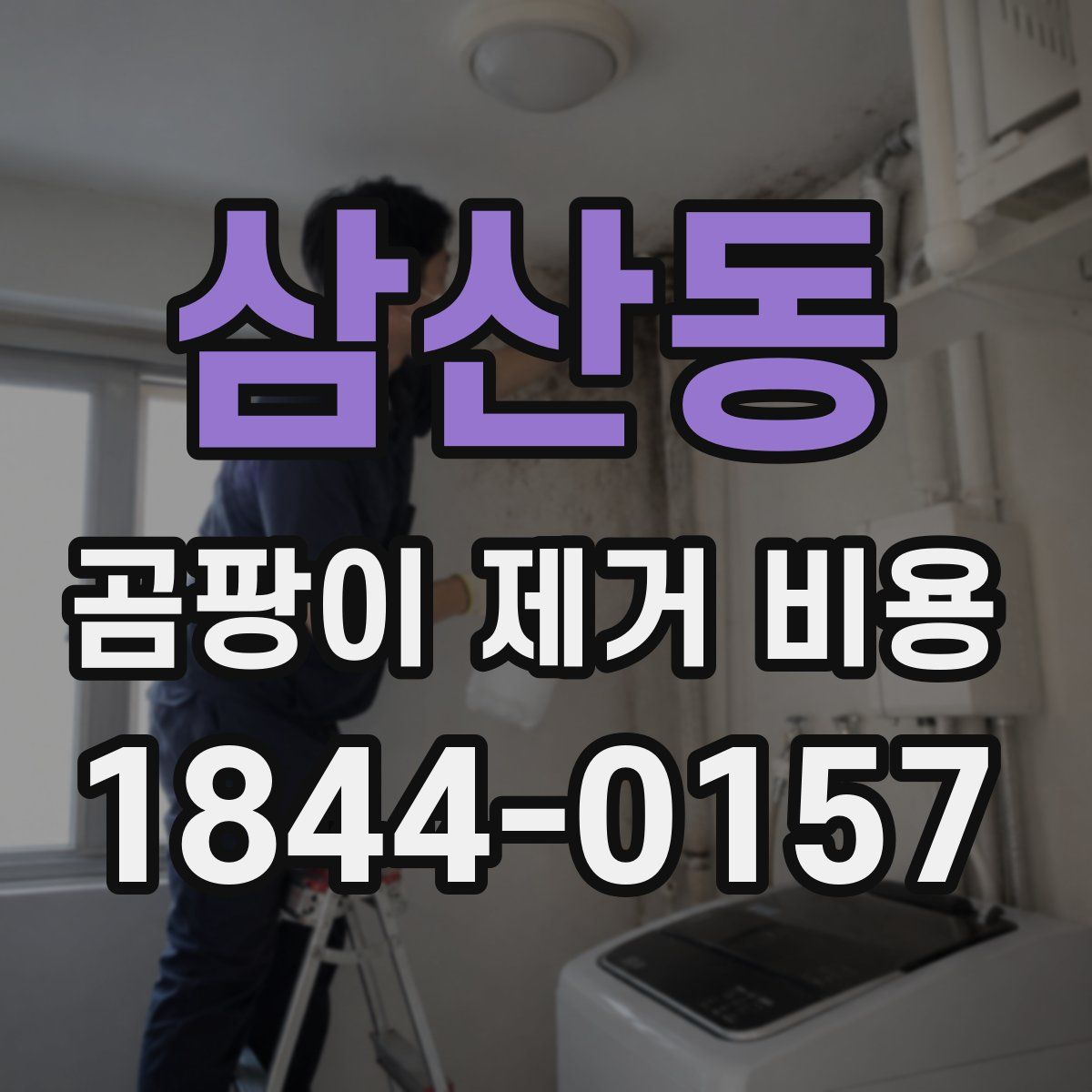 삼산동 곰팡이 제거 비용