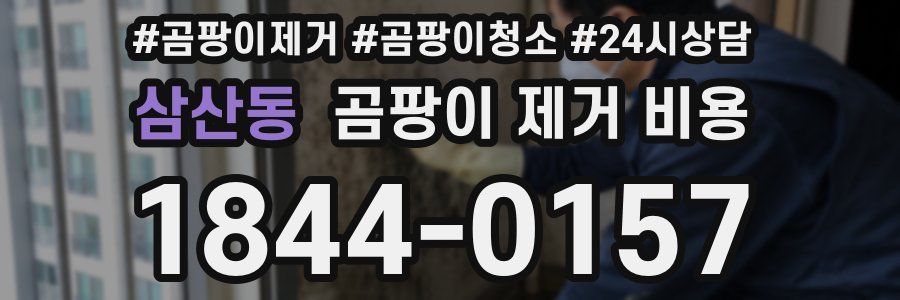 삼산동 곰팡이 제거 비용