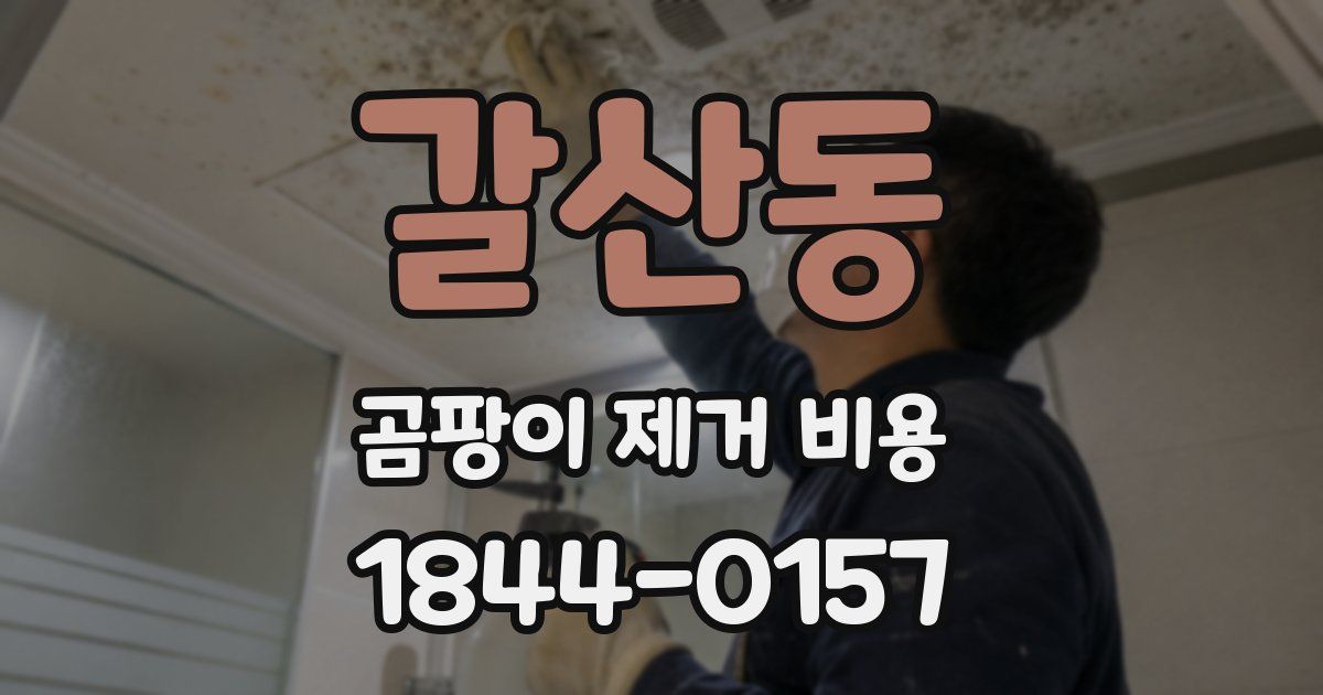 갈산동 곰팡이 제거 비용