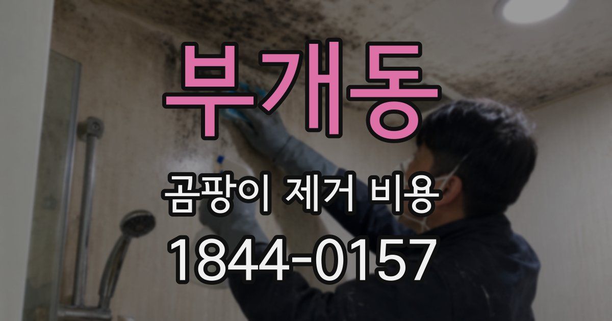부개동 곰팡이 제거 비용