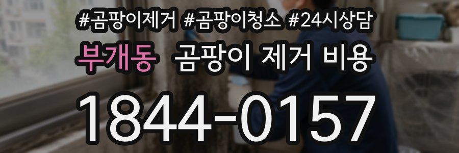 부개동 곰팡이 제거 비용
