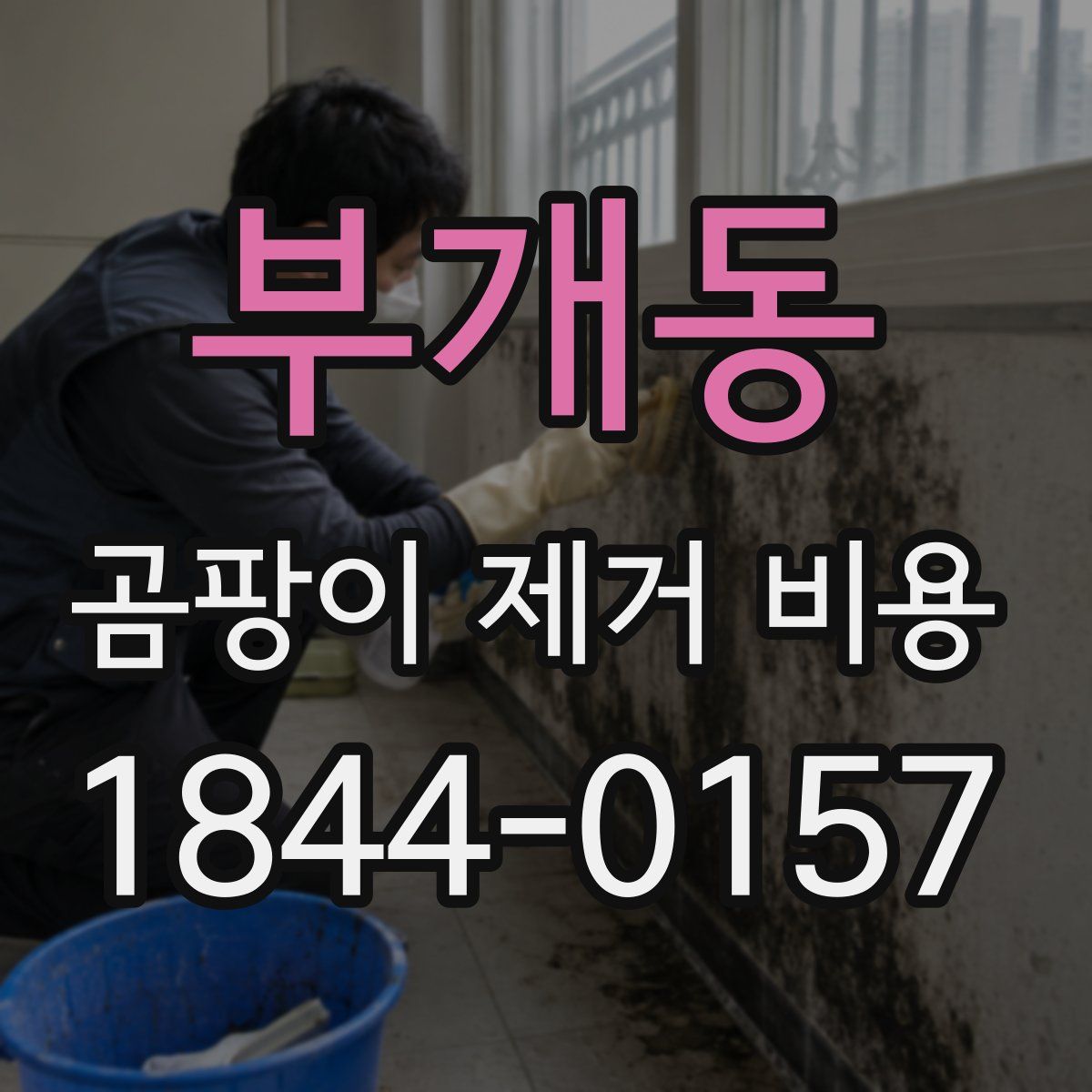 부개동 곰팡이 제거 비용
