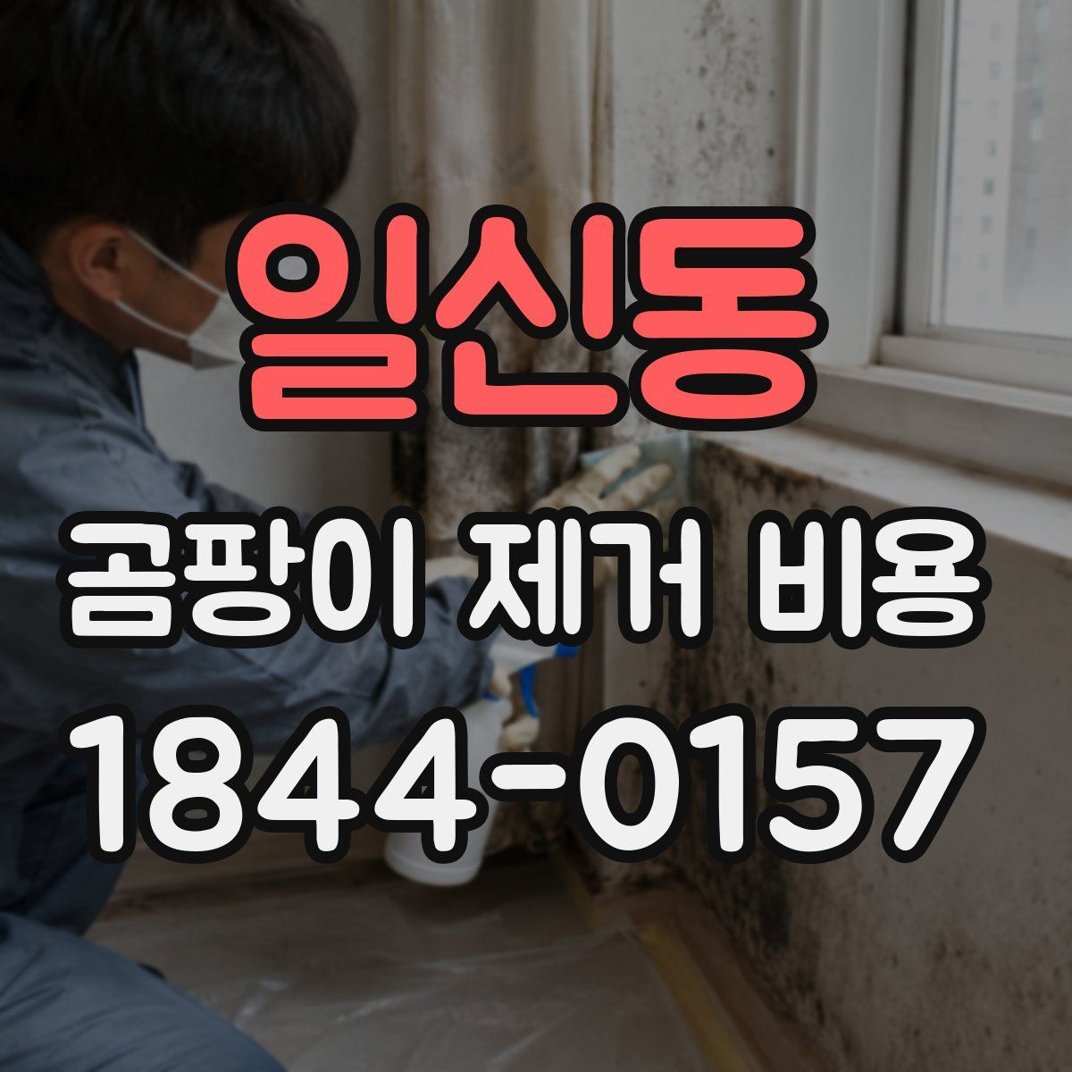 일신동 곰팡이 제거 비용