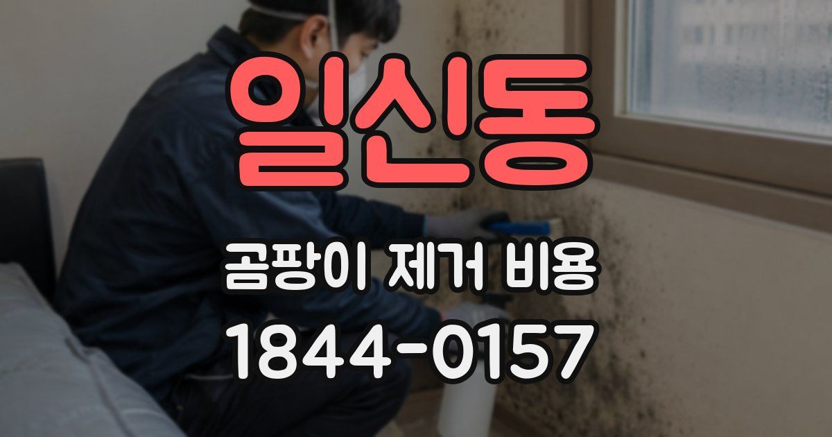 일신동 곰팡이 제거 비용