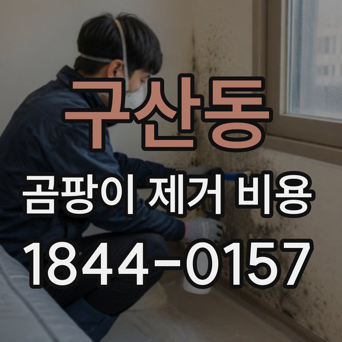 구산동 곰팡이 제거 비용
