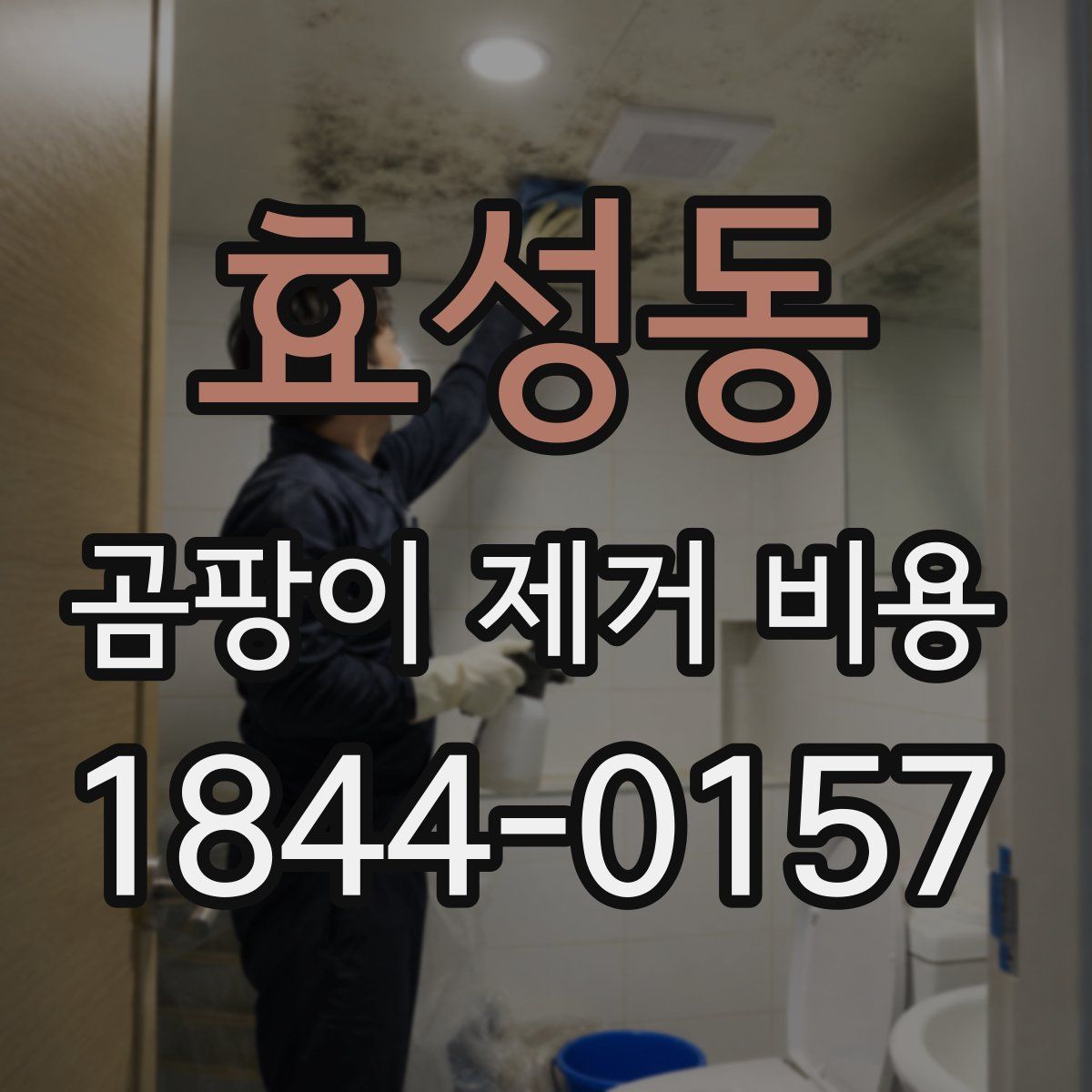 효성동 곰팡이 제거 비용