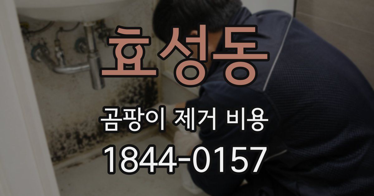 효성동 곰팡이 제거 비용