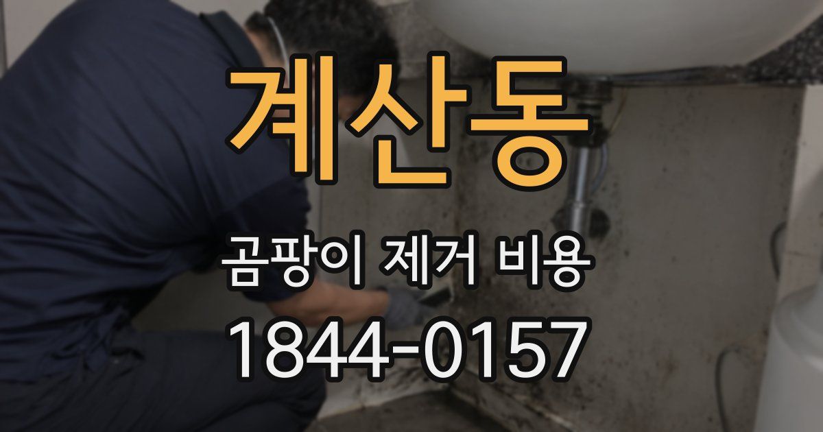 계산동 곰팡이 제거 비용