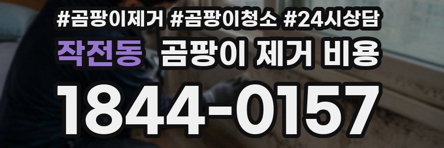 작전동 곰팡이 제거 비용