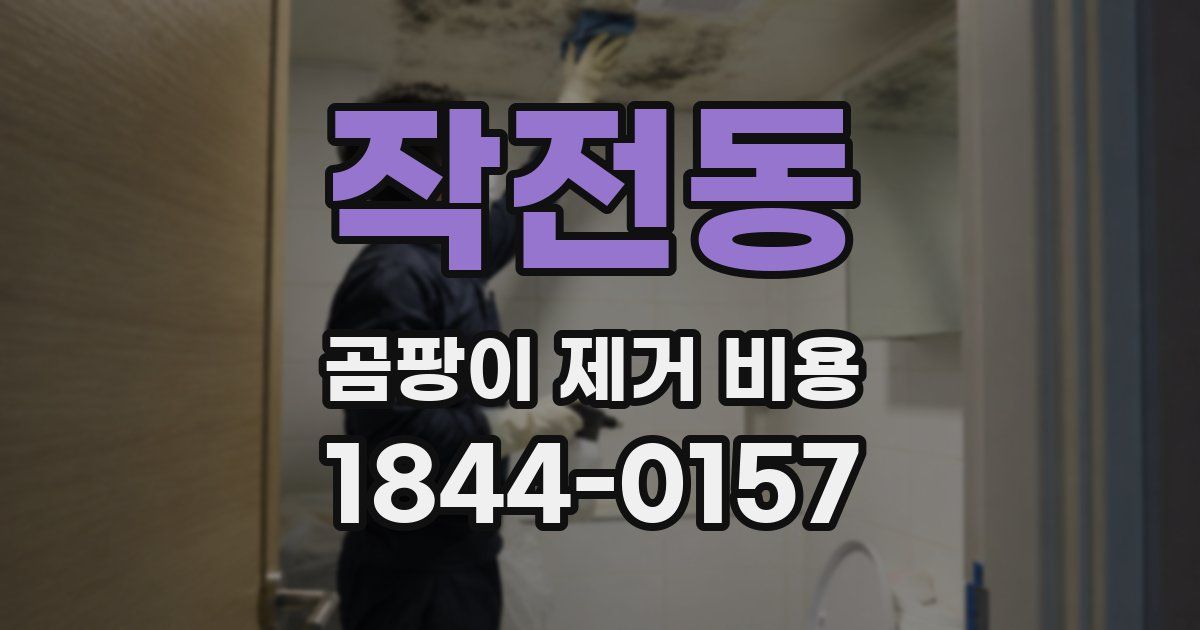 작전동 곰팡이 제거 비용