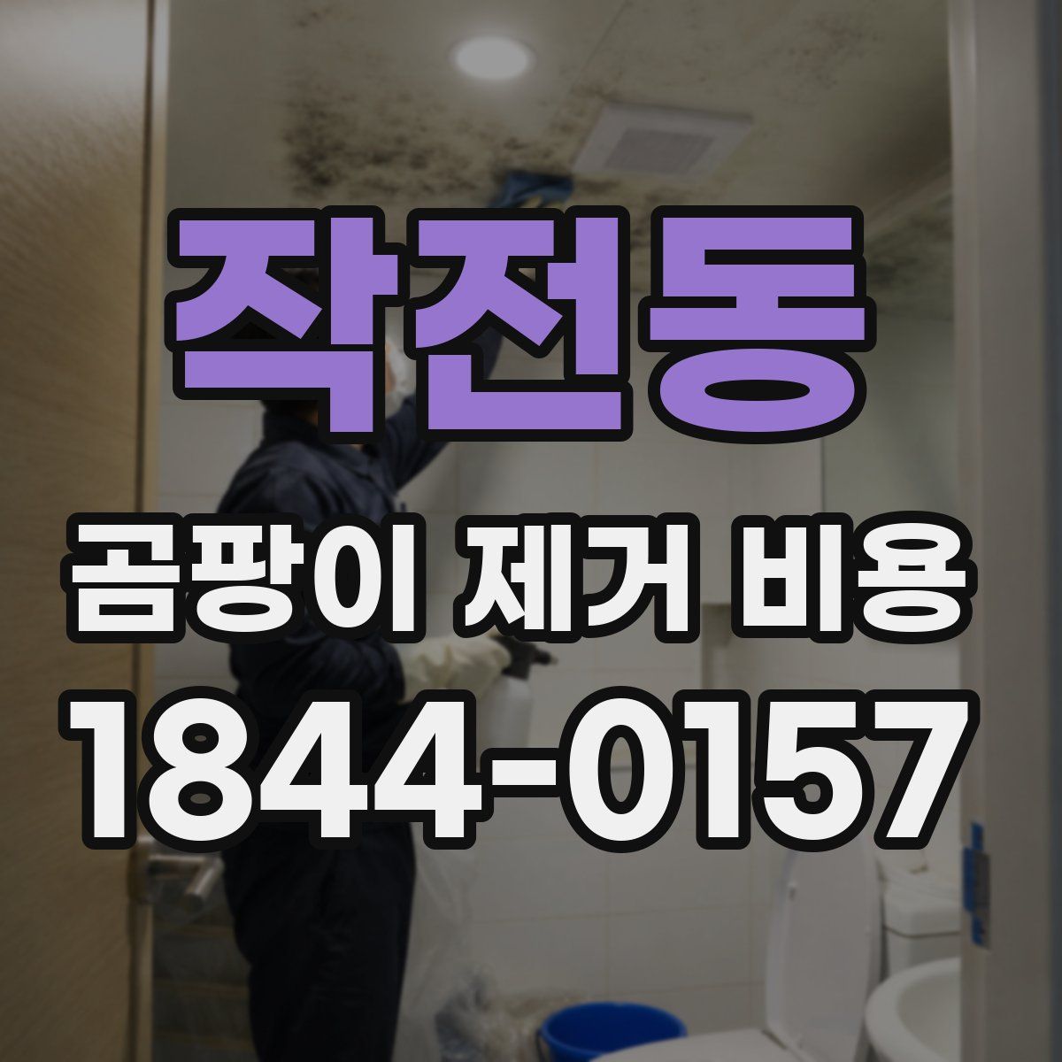 작전동 곰팡이 제거 비용