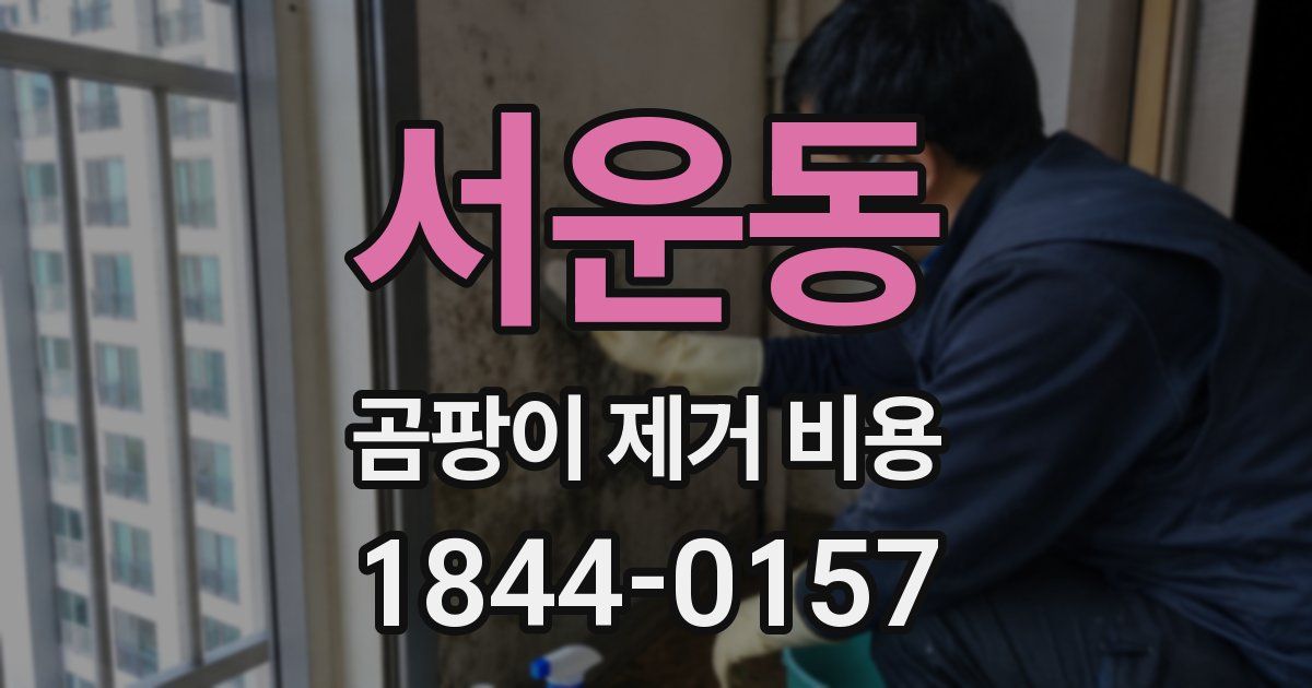 서운동 곰팡이 제거 비용