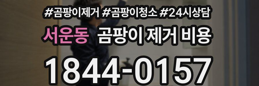 서운동 곰팡이 제거 비용