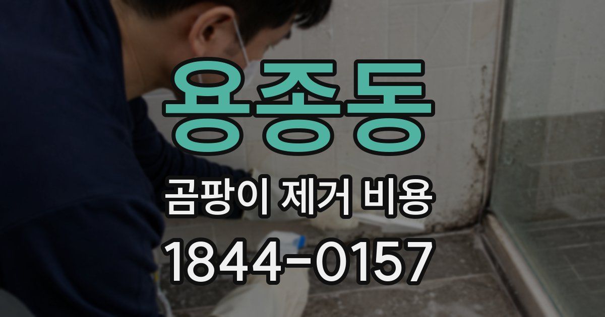 용종동 곰팡이 제거 비용
