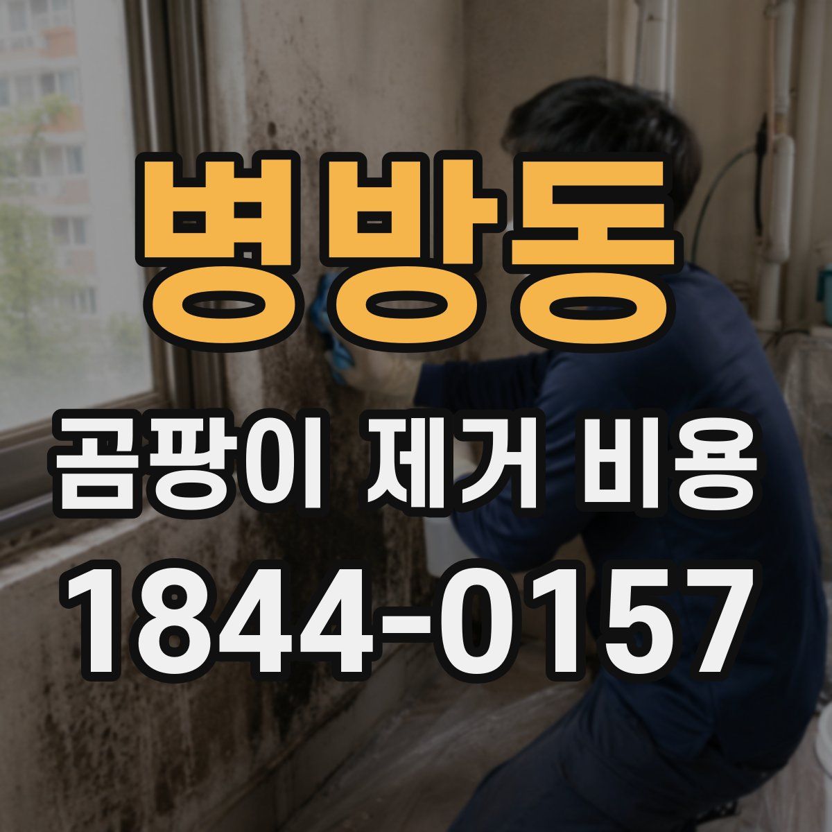 병방동 곰팡이 제거 비용