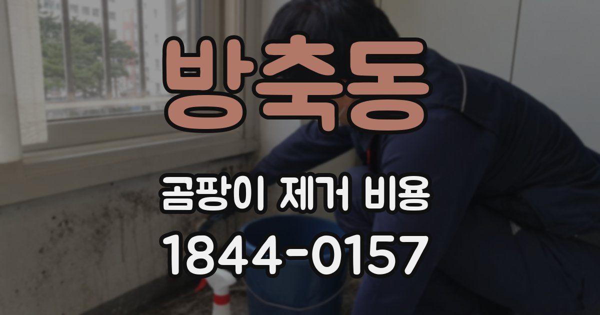 방축동 곰팡이 제거 비용