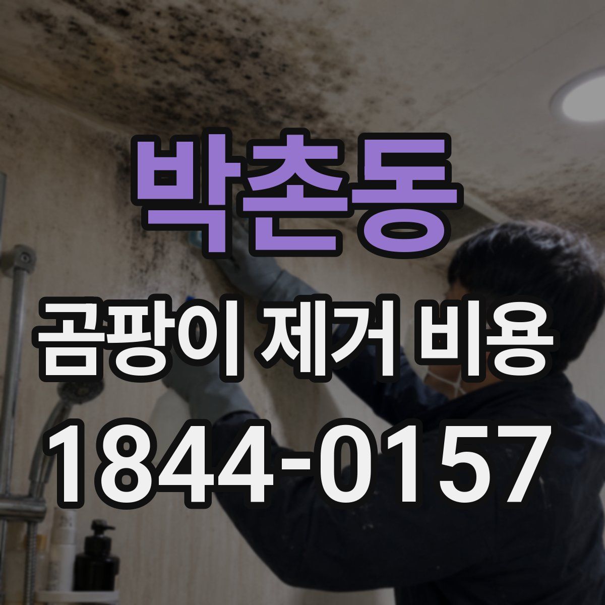 박촌동 곰팡이 제거 비용