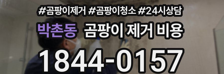 박촌동 곰팡이 제거 비용