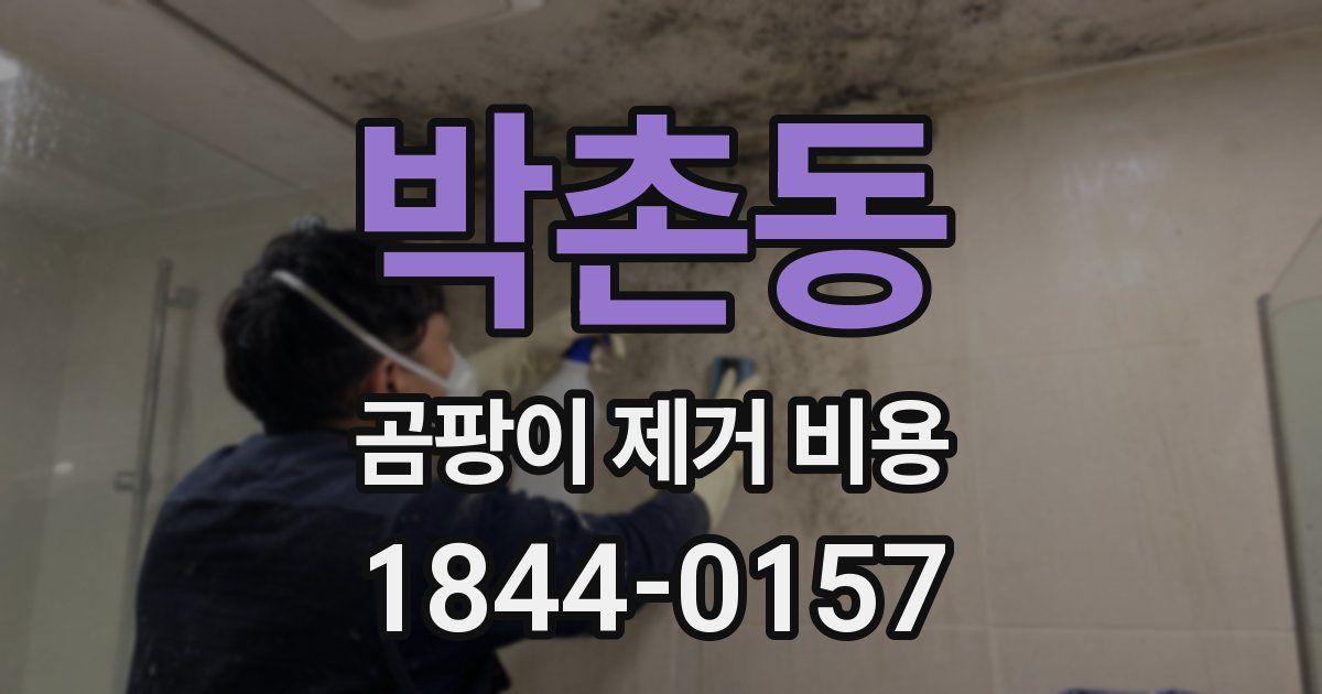 박촌동 곰팡이 제거 비용