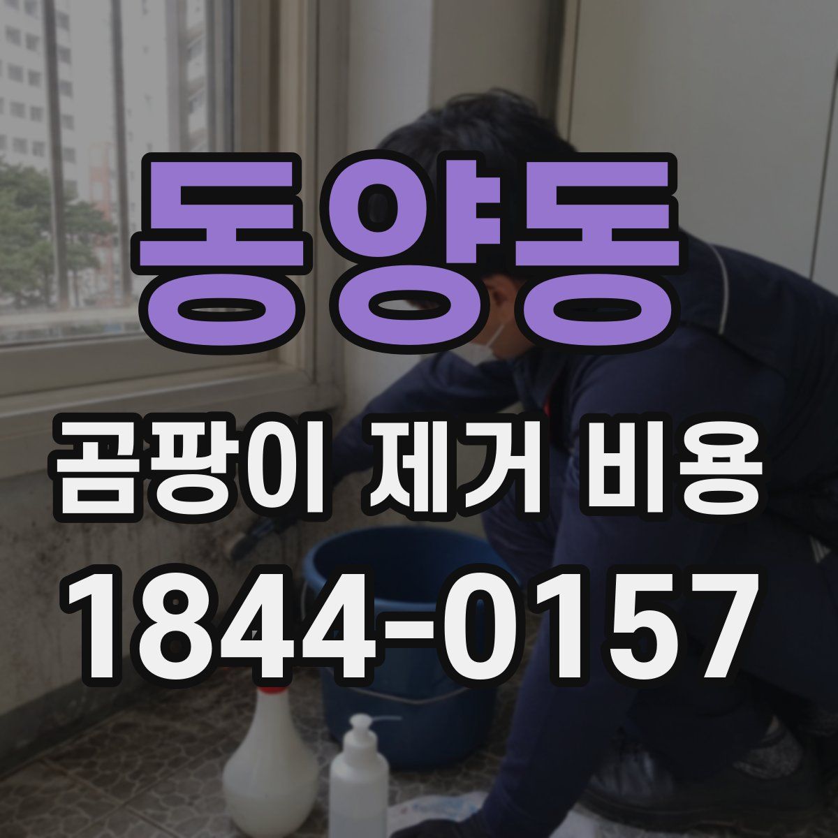 동양동 곰팡이 제거 비용