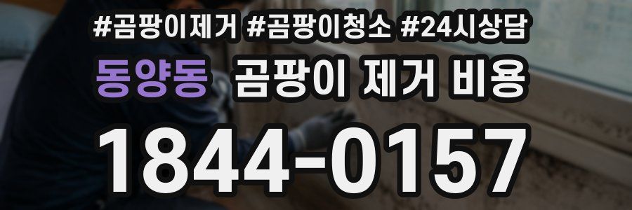 동양동 곰팡이 제거 비용