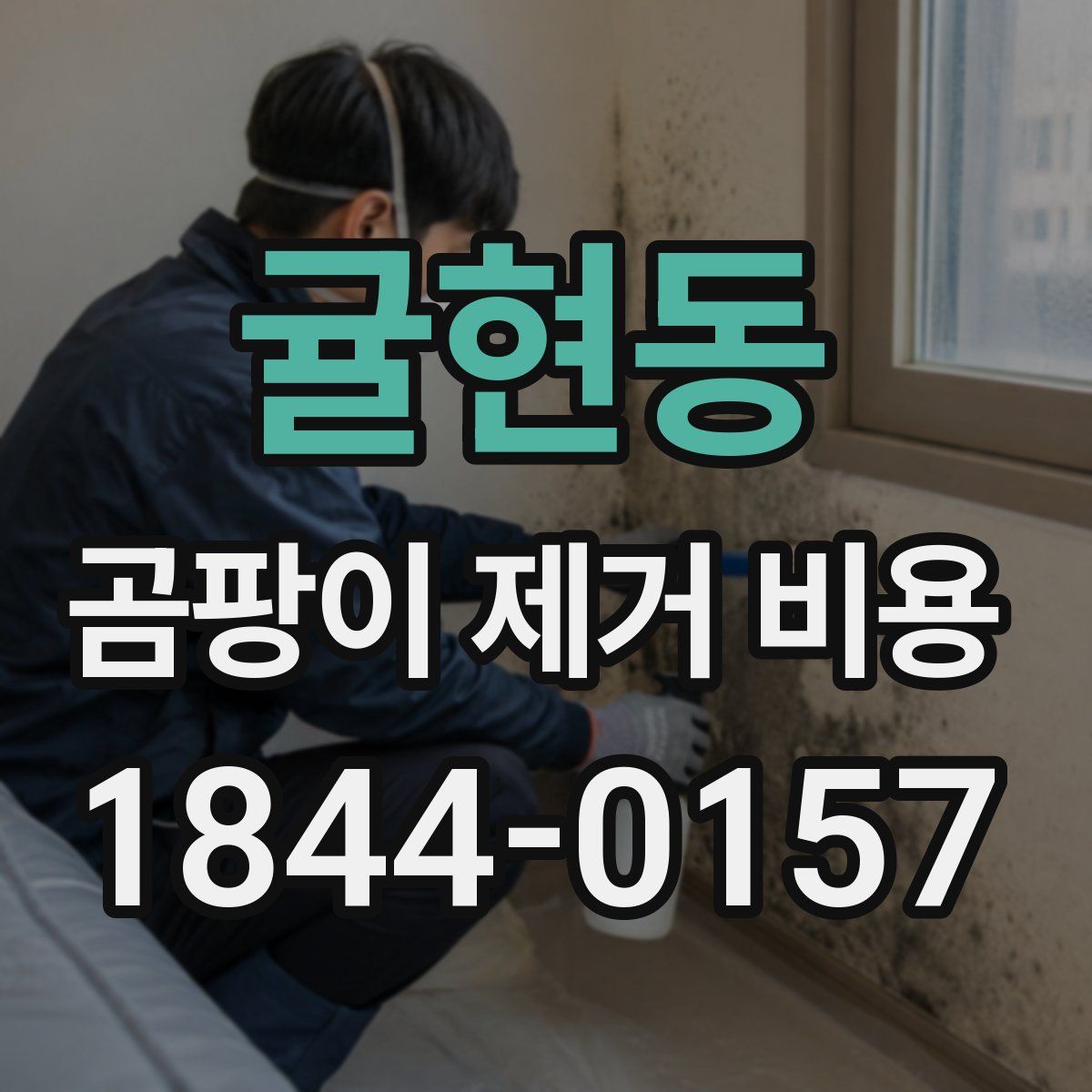 귤현동 곰팡이 제거 비용