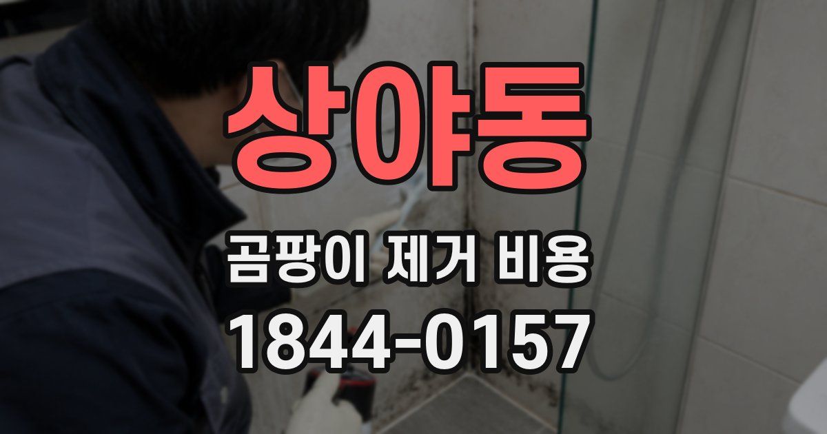 상야동 곰팡이 제거 비용