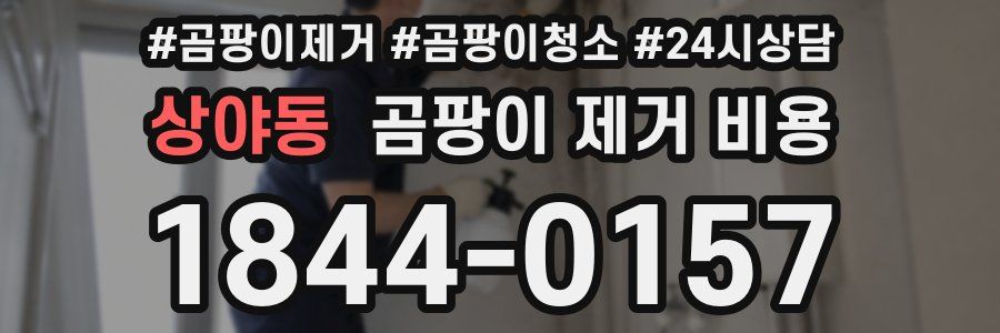 상야동 곰팡이 제거 비용