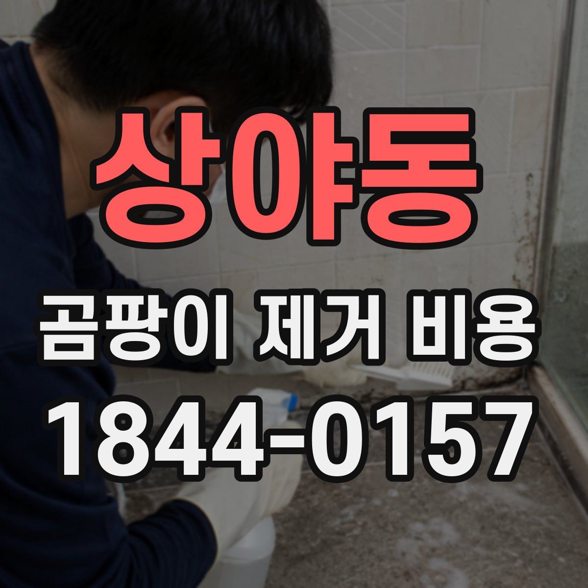 상야동 곰팡이 제거 비용