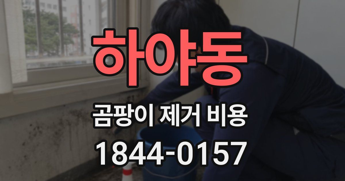 하야동 곰팡이 제거 비용