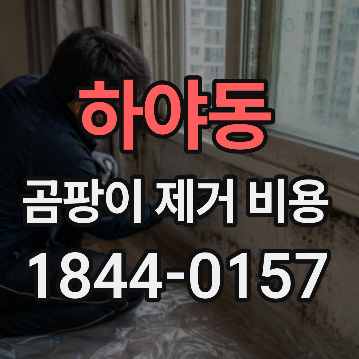 하야동 곰팡이 제거 비용