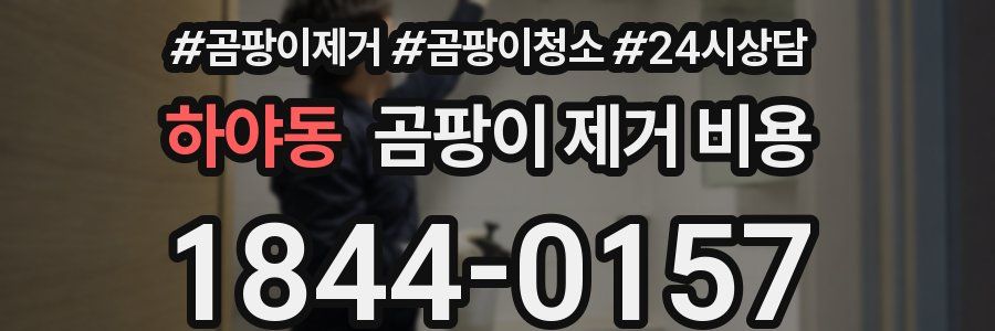 하야동 곰팡이 제거 비용