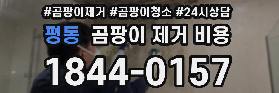 평동 곰팡이 제거 비용