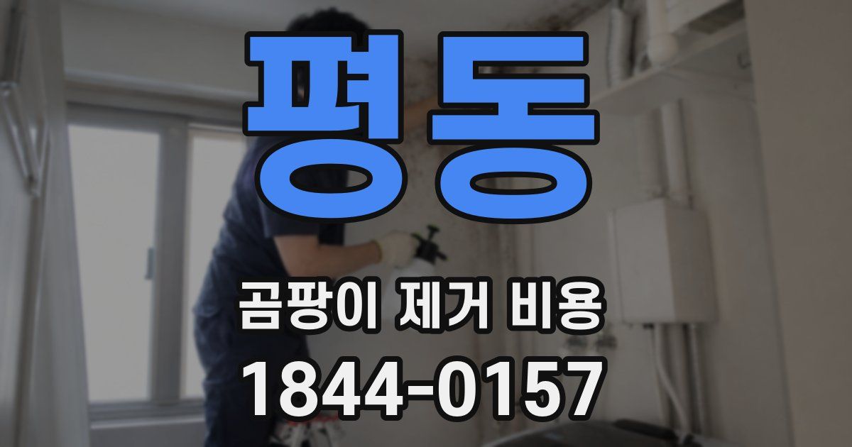 평동 곰팡이 제거 비용