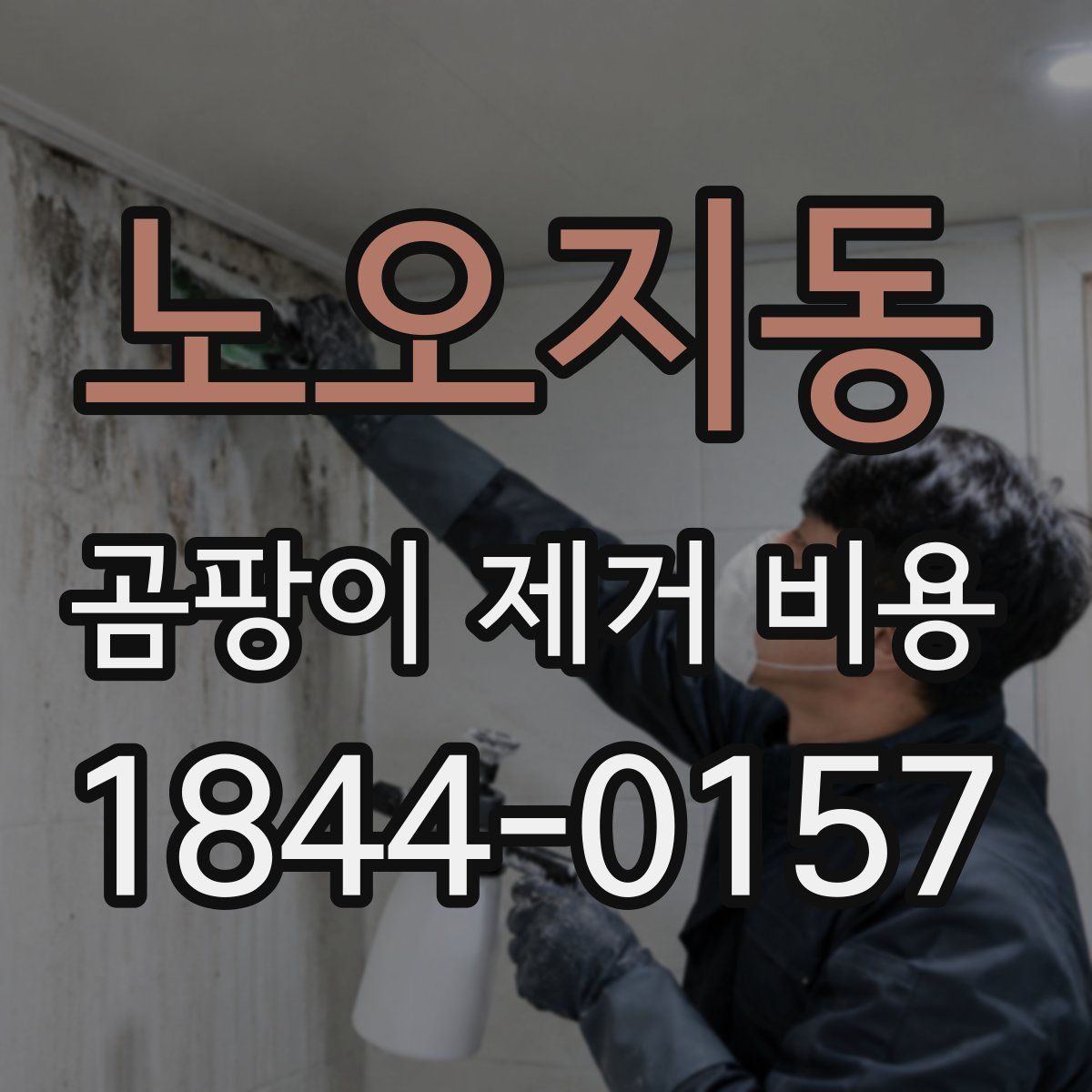 노오지동 곰팡이 제거 비용