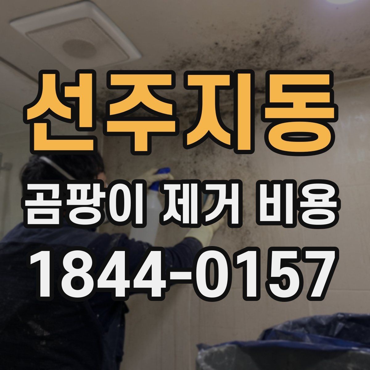 선주지동 곰팡이 제거 비용 업체 비교할 때 보증에 관한 조건을 확인하는 법