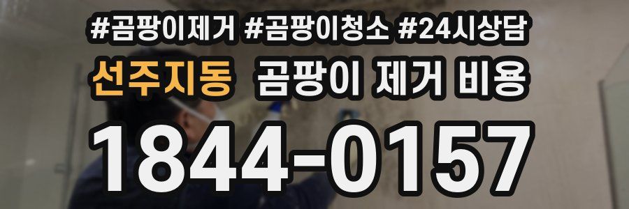 선주지동 곰팡이 제거 비용
