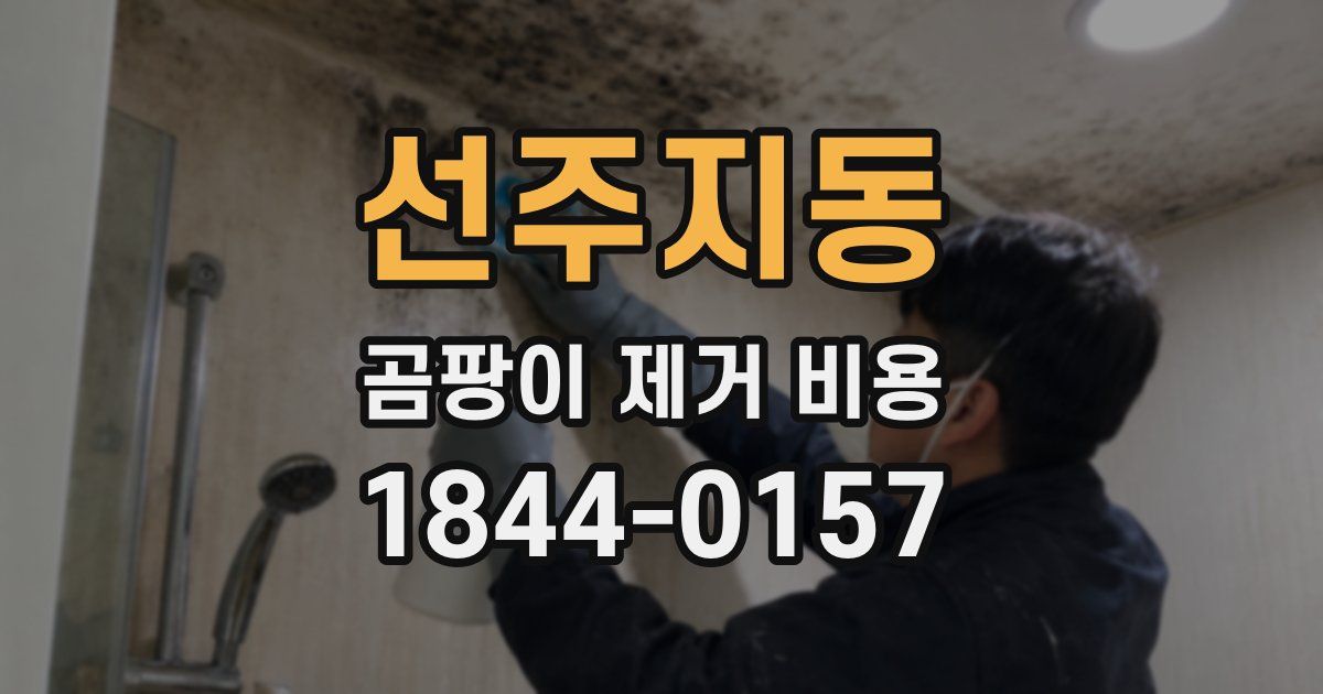 선주지동 곰팡이 제거 비용