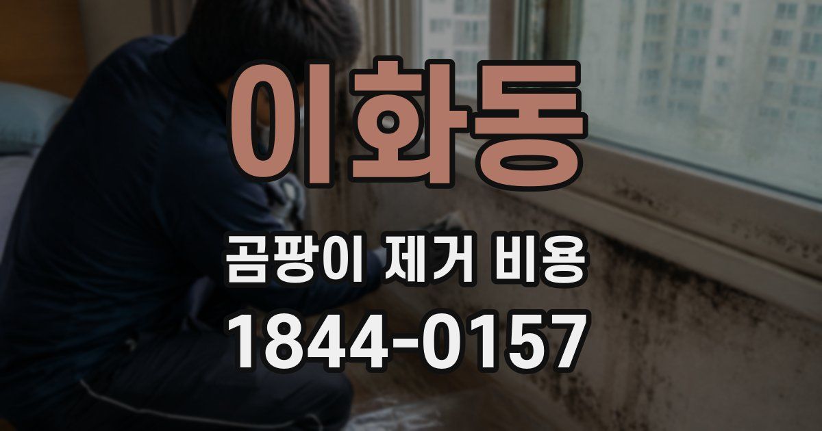 이화동 곰팡이 제거 비용