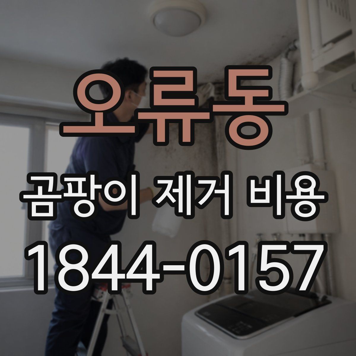 오류동 곰팡이 제거 비용 사후 점검과 재발 방지 포함 견적 확인