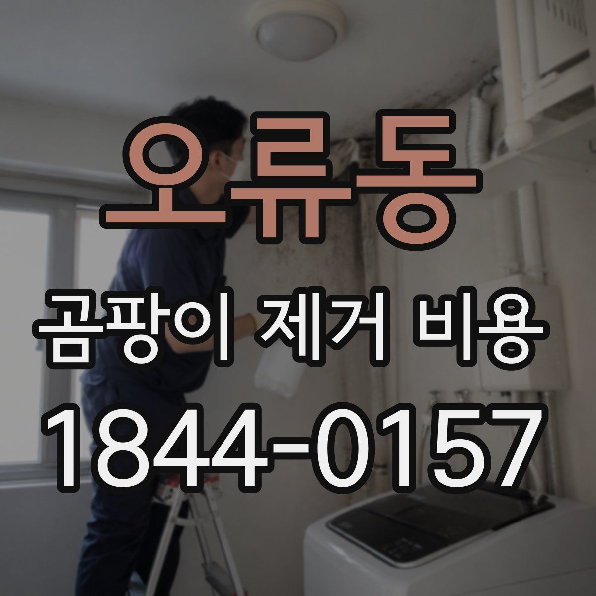 오류동 곰팡이 제거 비용