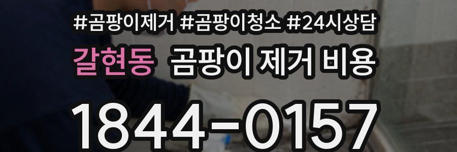 갈현동 곰팡이 제거 비용
