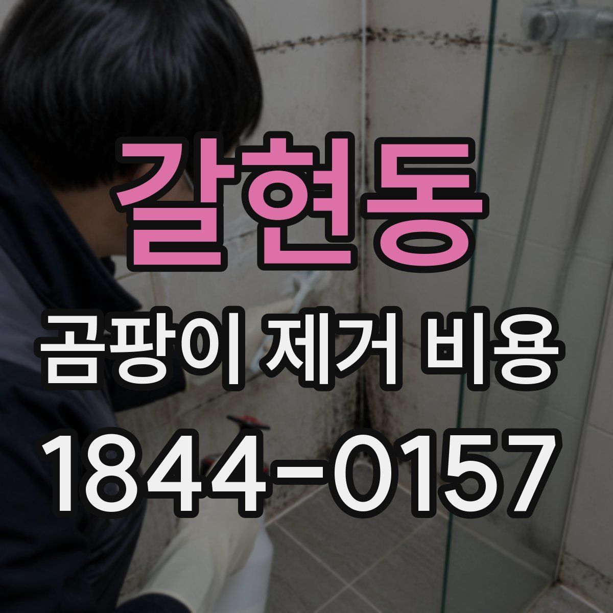 갈현동 곰팡이 제거 비용
