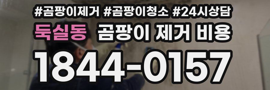 둑실동 곰팡이 제거 비용