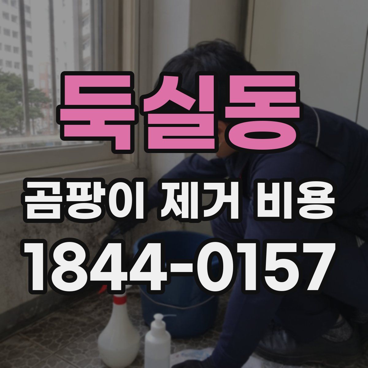 둑실동 곰팡이 제거 비용