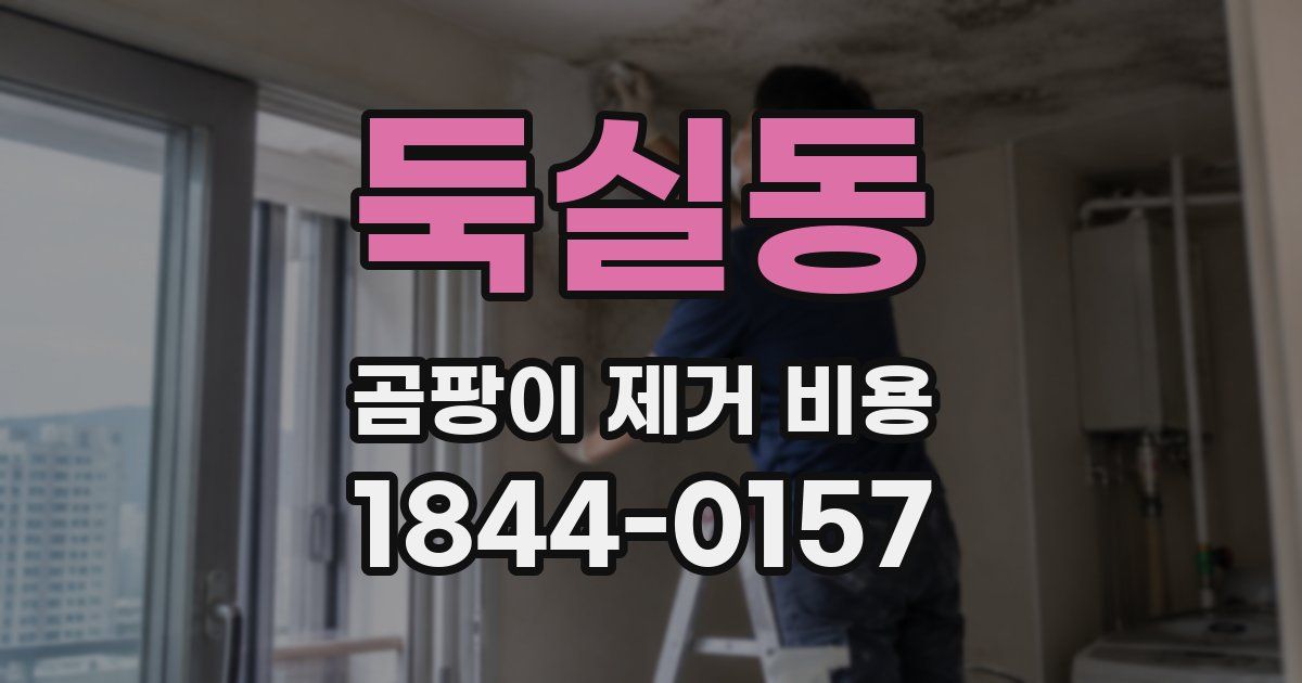 둑실동 곰팡이 제거 비용
