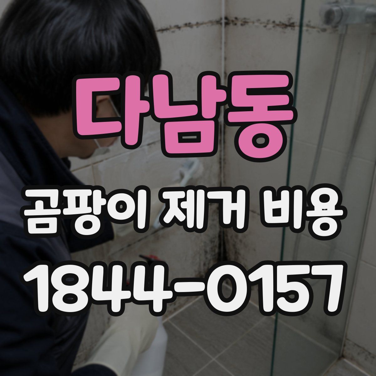 다남동 곰팡이 제거 비용