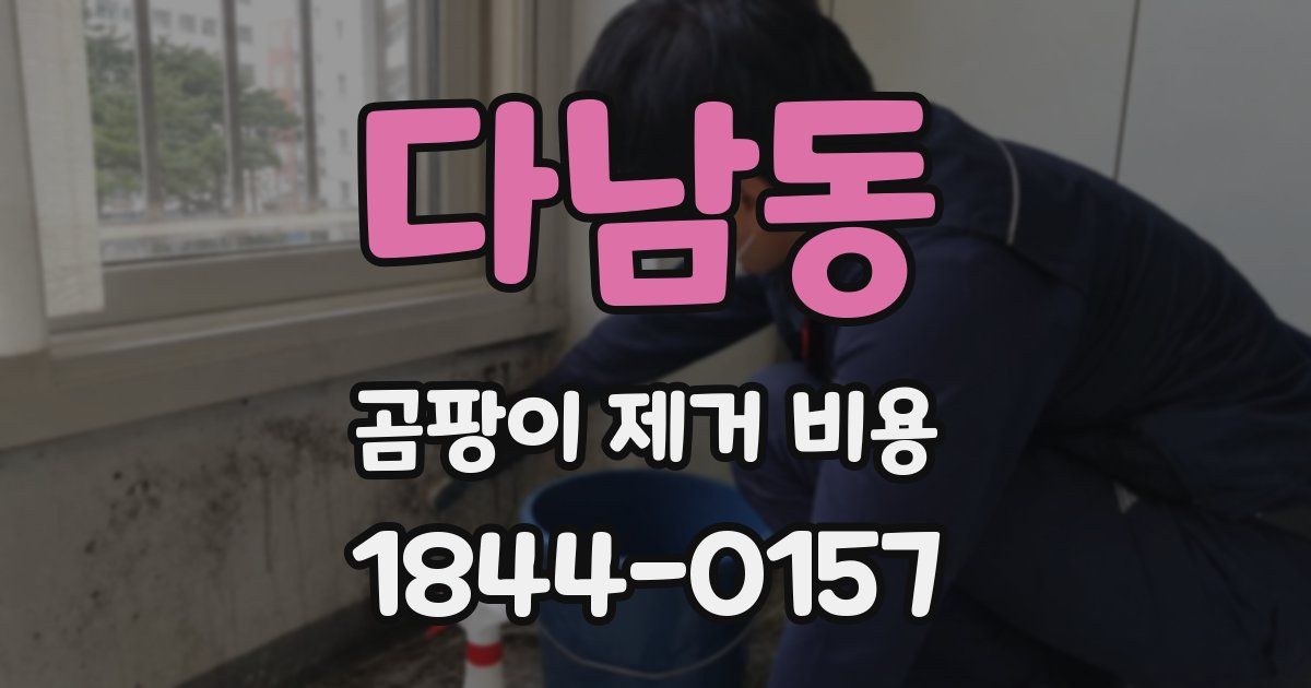 다남동 곰팡이 제거 비용