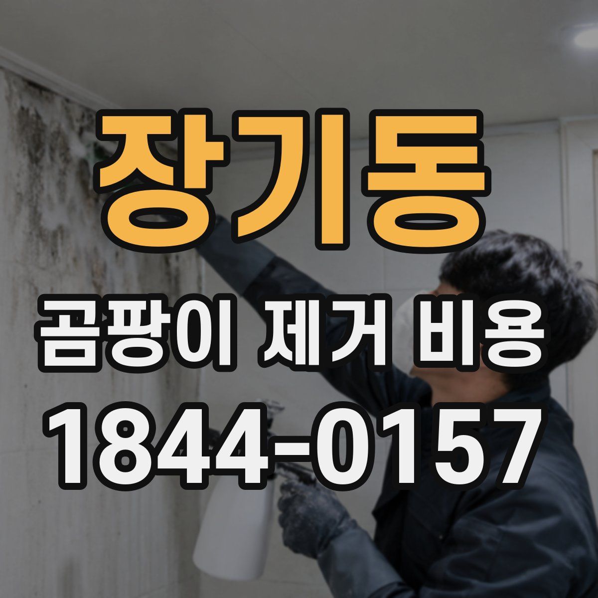장기동 곰팡이 제거 비용
