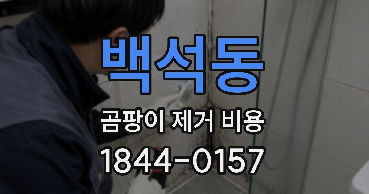 백석동 곰팡이 제거 비용